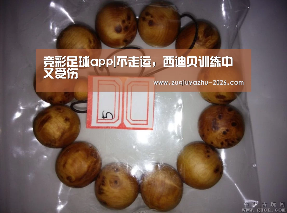 体育投注app