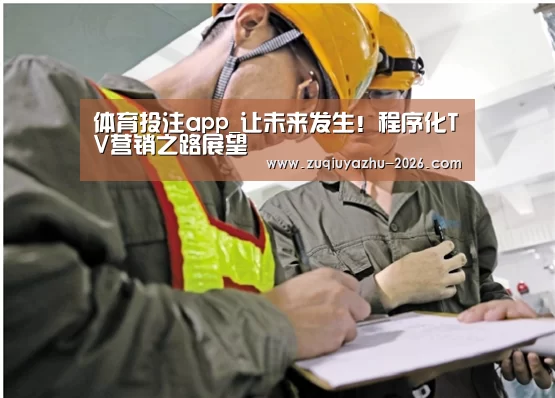 体育投注app_让未来发生!程序化TV营销之路展望(图1) 体育投注app