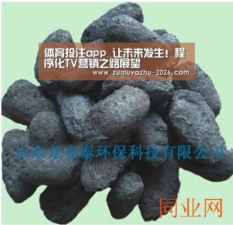 体育投注app_让未来发生!程序化TV营销之路展望(图2) 足球投注app