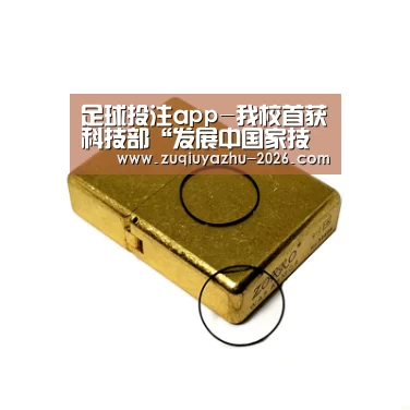体育投注app