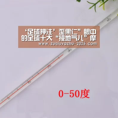 体育投注app