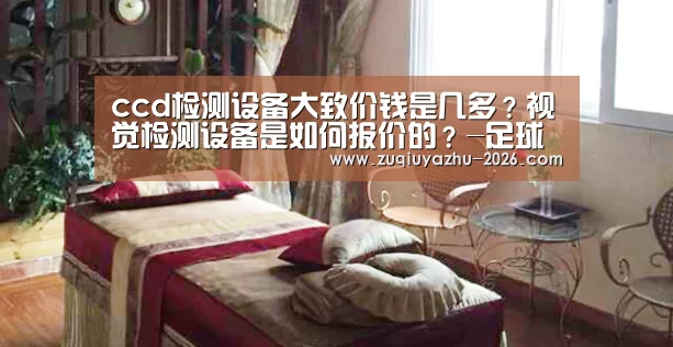 ccd检测设备大致价钱是几多?视觉检测设备是如何报价的?-足球投注网站(图2) 足球投注app