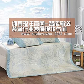 体育投注官网-智能输送装备行业发展现状与前景(图1) 体育投注官网